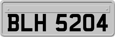 BLH5204