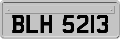 BLH5213