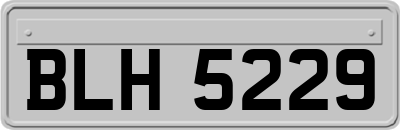 BLH5229