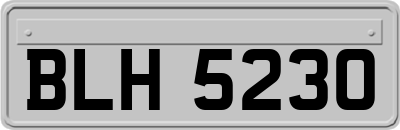 BLH5230