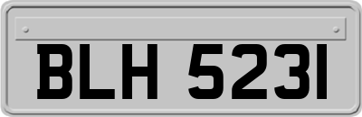 BLH5231