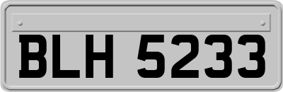 BLH5233