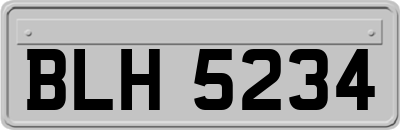 BLH5234