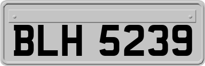 BLH5239