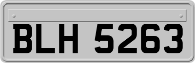 BLH5263