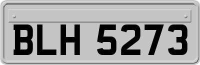 BLH5273