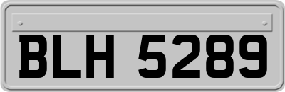 BLH5289