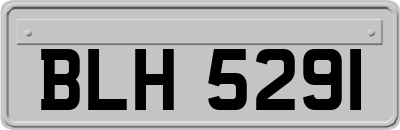 BLH5291