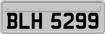 BLH5299