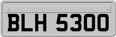 BLH5300