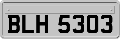 BLH5303