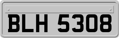 BLH5308