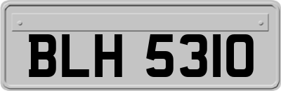 BLH5310