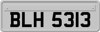 BLH5313
