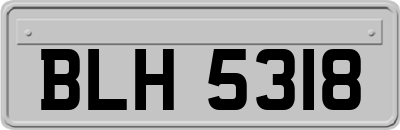 BLH5318