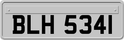 BLH5341