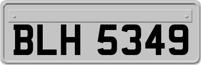 BLH5349