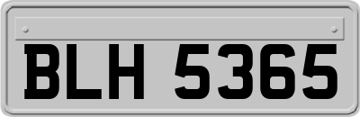 BLH5365