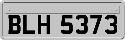 BLH5373