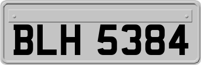 BLH5384