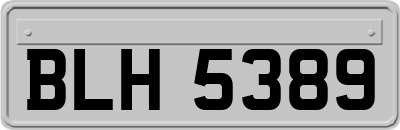 BLH5389