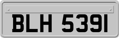 BLH5391