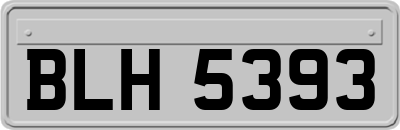 BLH5393