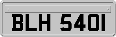 BLH5401