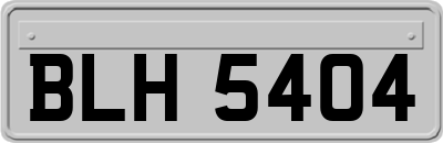 BLH5404