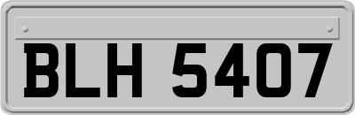 BLH5407