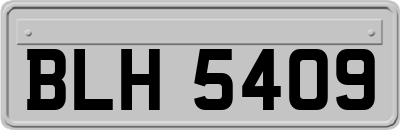 BLH5409