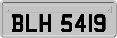 BLH5419