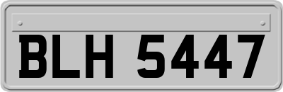BLH5447