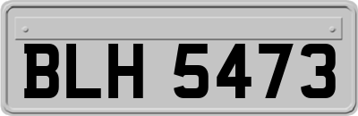 BLH5473