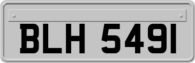 BLH5491