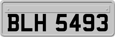 BLH5493