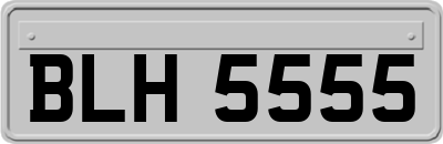 BLH5555