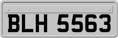 BLH5563
