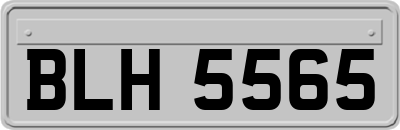 BLH5565