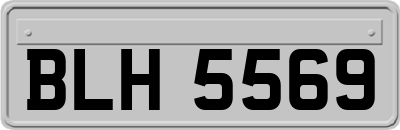 BLH5569