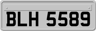 BLH5589