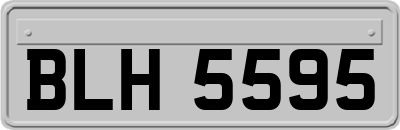 BLH5595
