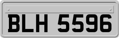 BLH5596