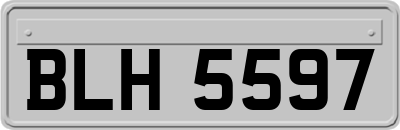 BLH5597