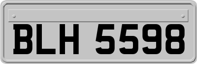 BLH5598