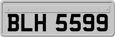 BLH5599