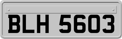 BLH5603
