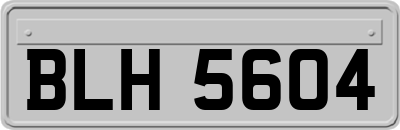 BLH5604