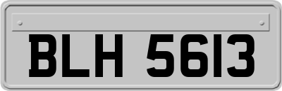 BLH5613