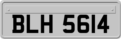 BLH5614